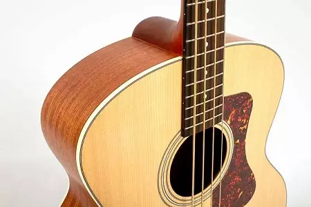 ध्वनिक बास गिटार: वैशिष्ट्ये, निवड टिपा आणि सर्वोत्तम ध्वनिक मॉडेल 27165_3