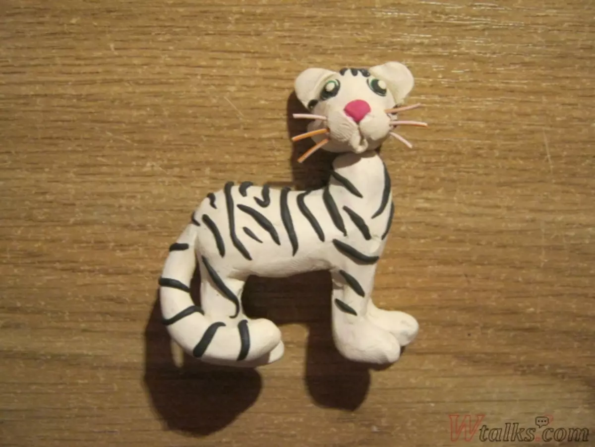 Τίγρη από πλαστελίνη: Πώς να φτιάξετε μια τίγρη των παιδιών παράκαμψης βημάτων; Πώς να φτιάξετε ένα saber-chap και λευκό τίγρη με τα χέρια σας; 27190_37