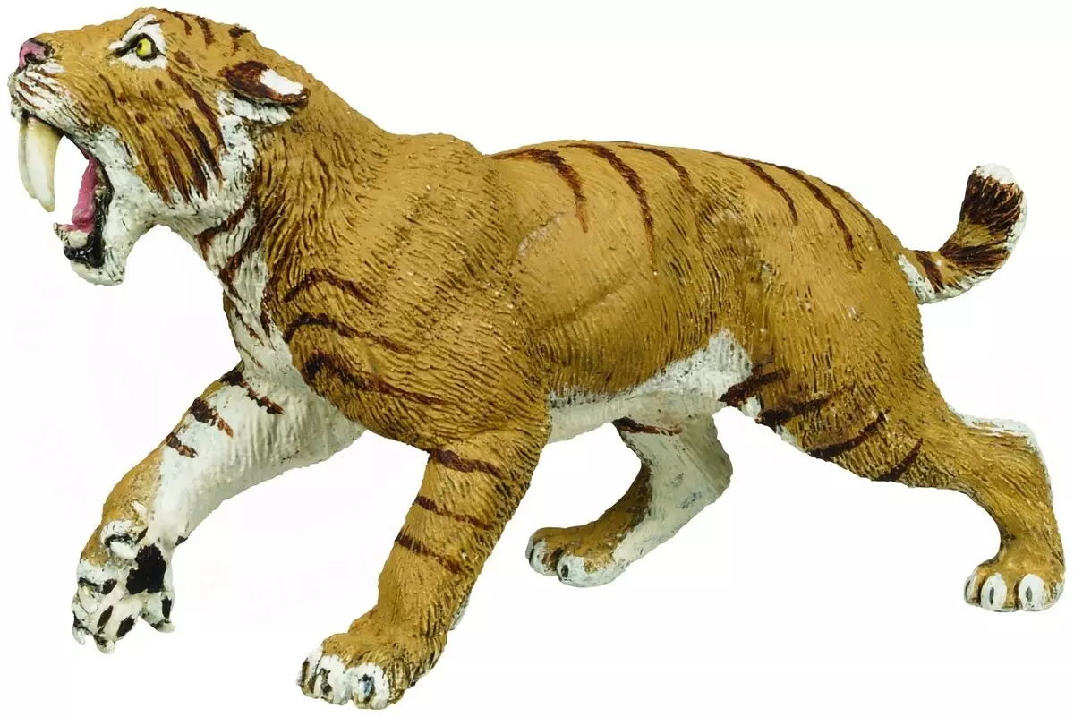 Τίγρη από πλαστελίνη: Πώς να φτιάξετε μια τίγρη των παιδιών παράκαμψης βημάτων; Πώς να φτιάξετε ένα saber-chap και λευκό τίγρη με τα χέρια σας; 27190_38