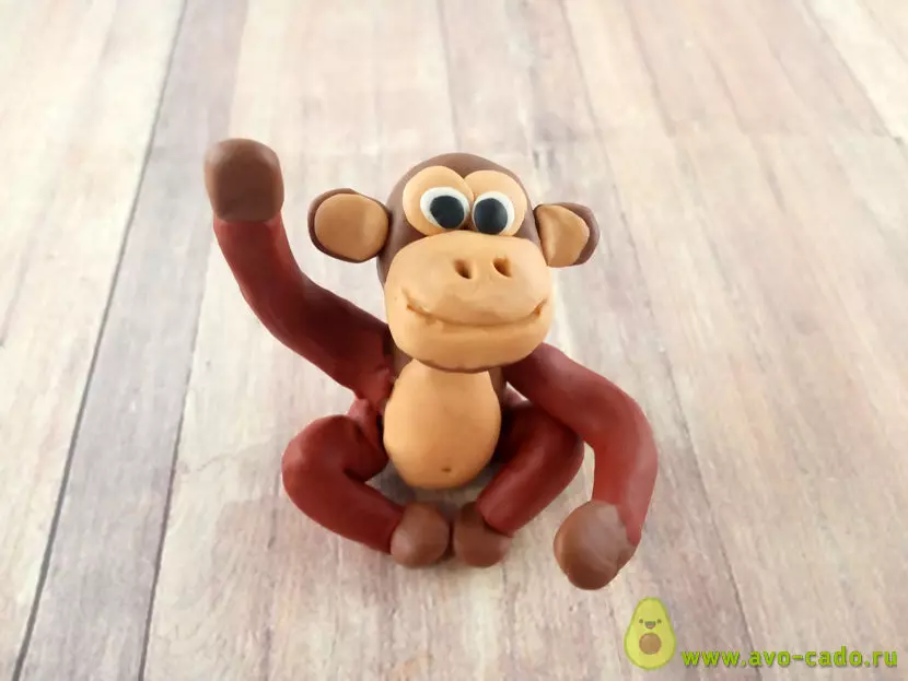 Monkey van klei: 'n Eenvoudige as 'n blinde aapkinders stap vir stap? Hoe om verskillende figure in fases te maak? 27192_22