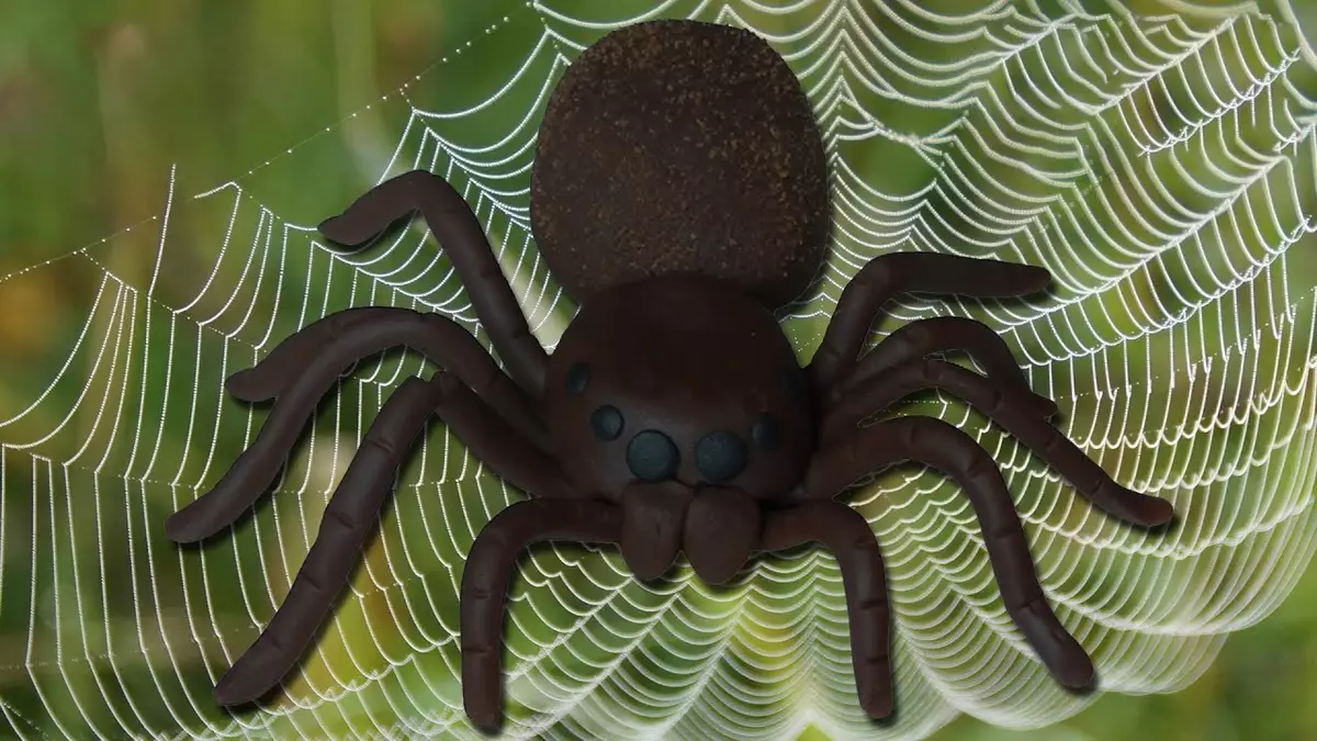 עכביש מחוץ plasticine (36 תמונות): איך לעשות עכביש פשוט לילדים עם הידיים שלהם? איך לעשות צעד לעקוף עכביש באינטרנט? גרסאות אחרות של דוגמנות