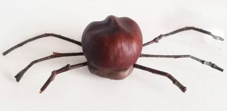 Spider out of plasticine (36 photos): how to make a simple spider for children with their own hands? How to make a step bypass spider on a web? Other versions of modeling 27193_26