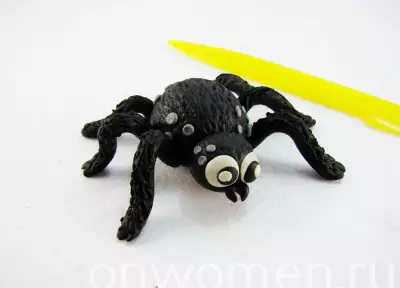Spider out of plasticine (36 photos): how to make a simple spider for children with their own hands? How to make a step bypass spider on a web? Other versions of modeling 27193_35