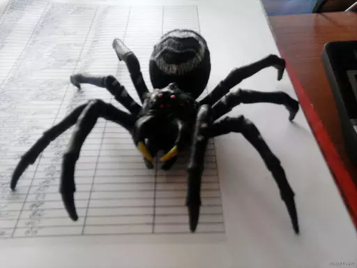 Araña de plastilina (36 fotos): cómo hacer una araña simple para los niños con sus propias manos? Como hacer una araña de derivación paso en una red? Otras versiones de modelado 27193_7