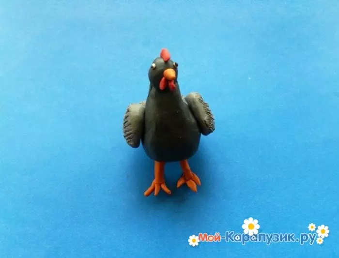 Plasticine chicken: how to make a chicken chicken and plasticine to children with their own hands step by step? How to make it with seeds? Modeling simple chicken stages 27203_8