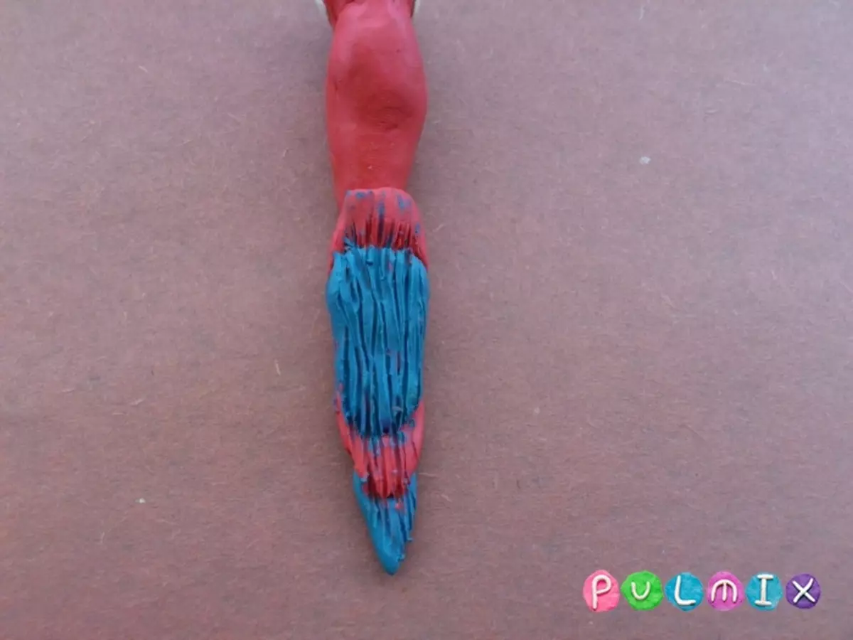 Papagei aus Plastilin: Wie blende ihn mit einem lunged Kind Schritt für Schritt? Wie ein Papagei Arua allmählich machen? Wie ein Papagei Cache zu formen? 27204_11