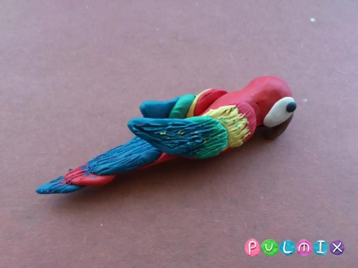 Papagei aus Plastilin: Wie blende ihn mit einem lunged Kind Schritt für Schritt? Wie ein Papagei Arua allmählich machen? Wie ein Papagei Cache zu formen? 27204_13