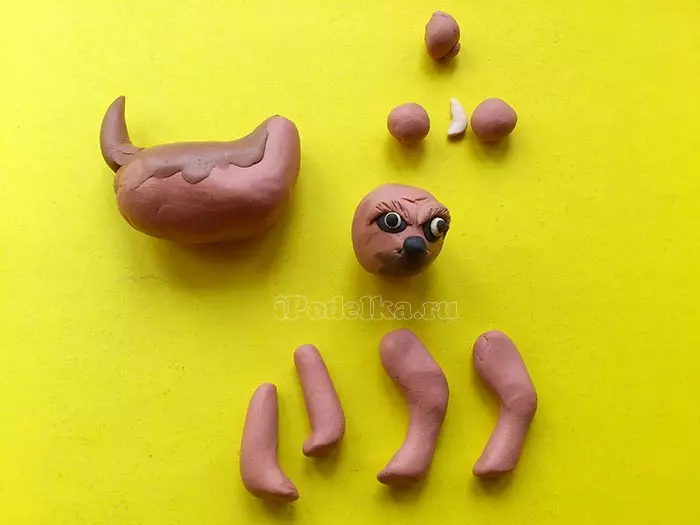 Hoe kinne jo in hûn meitsje fan plasticine? 88 Foto Hoe kinne jo in hûn meitsje foar bern út eiken en plasticine? Stap-by-stap husk en oare sifers 27212_18