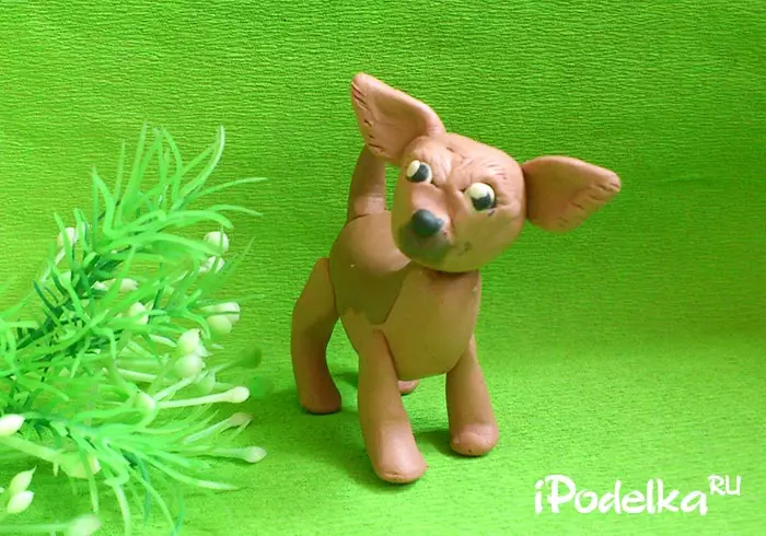 How to make a dog from plasticine? 88 photo How to make a dog for children from acorns and plasticine? Step-by-step husk and other figures 27212_20
