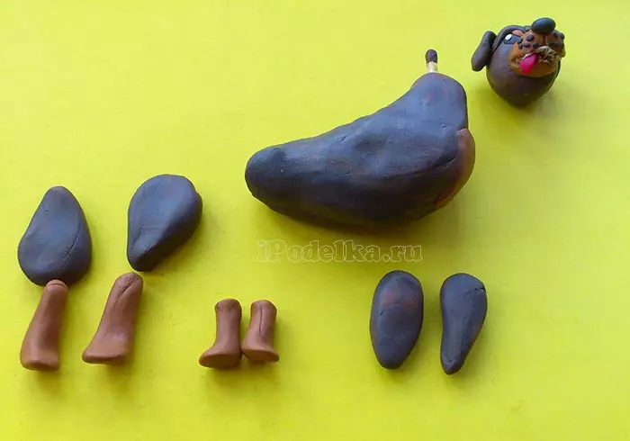 How to make a dog from plasticine? 88 photo How to make a dog for children from acorns and plasticine? Step-by-step husk and other figures 27212_23
