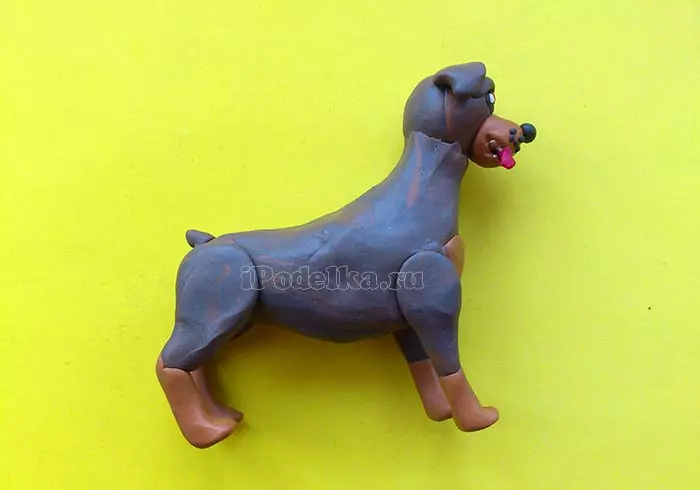 Cum să faci un câine din plasticină? 88 Fotografie Cum de a face un câine pentru copii de la ghinde și plasticină? Pas cu pas și alte figuri 27212_24