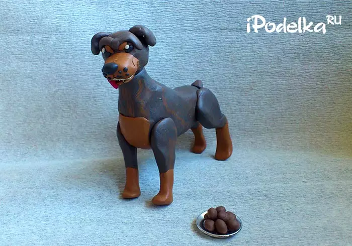 Comment faire un chien de la pâte à modeler? 88 photo Comment faire un chien pour les enfants de glands et de pâte à modeler? Haquette étape par étape et autres chiffres 27212_25