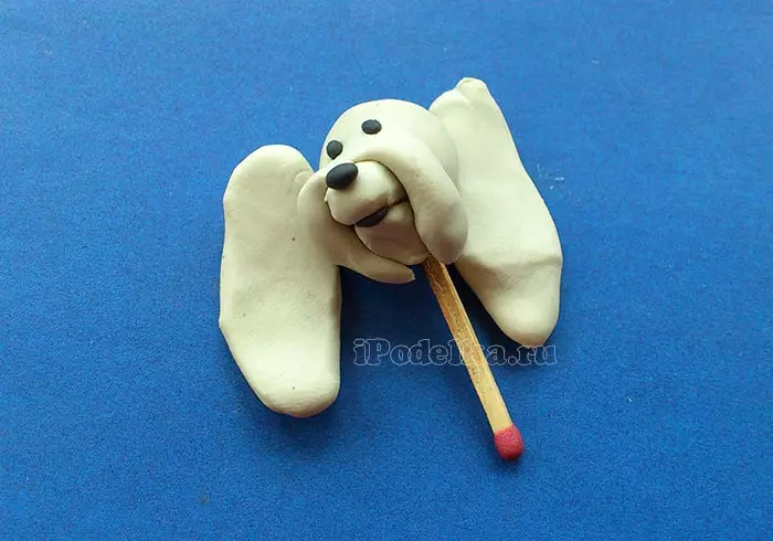 Come fare un cane dalla plastilina? 88 Foto Come fare un cane per bambini da ghiande e plastilina? Husk passo-passo e altre figure 27212_27