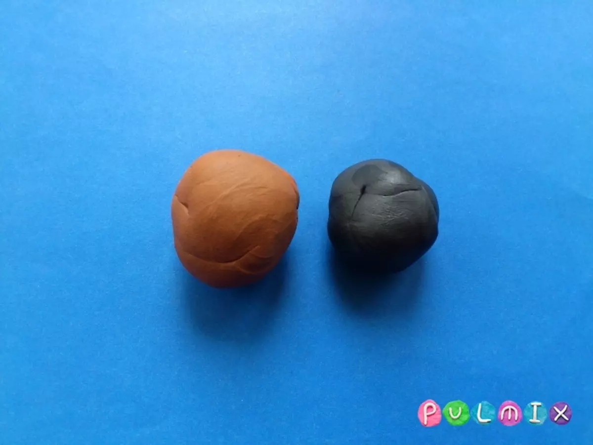 Bagaimana untuk membuat anjing dari plasticine? 88 foto Bagaimana untuk membuat anjing untuk kanak-kanak dari acorns dan plasticine? Sekam langkah demi langkah dan angka lain 27212_46