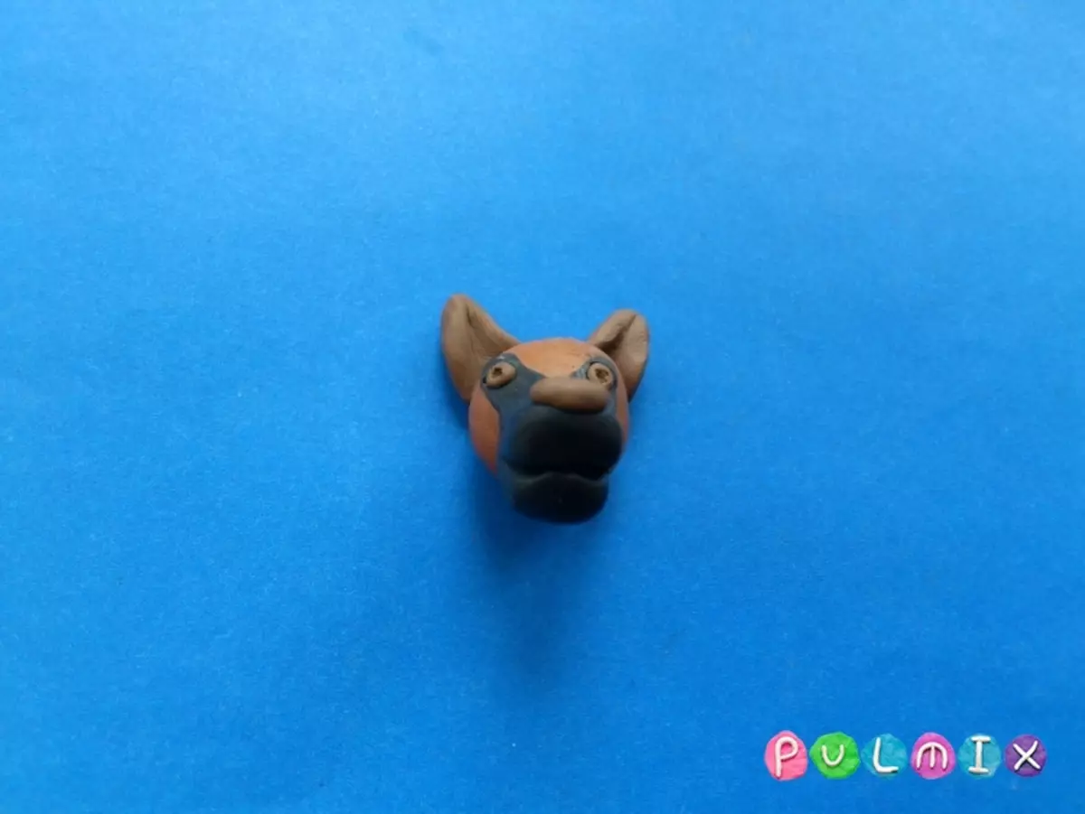 Πώς να φτιάξετε ένα σκυλί από πλαστελίνη; 88 Φωτογραφία Πώς να φτιάξετε ένα σκυλί για παιδιά από βελανίδια και πλαστελίνη; Βήμα-βήμα φλοιός και άλλα στοιχεία 27212_47
