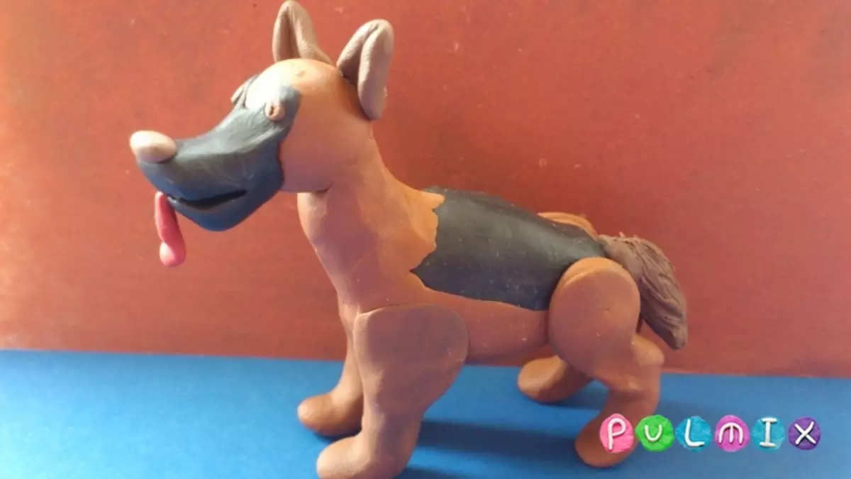 Hvordan laver man en hund fra plastik? 88 Foto Sådan laver du en hund til børn fra Acorns og Plasticine? Trin-for-trin husk og andre figurer 27212_50