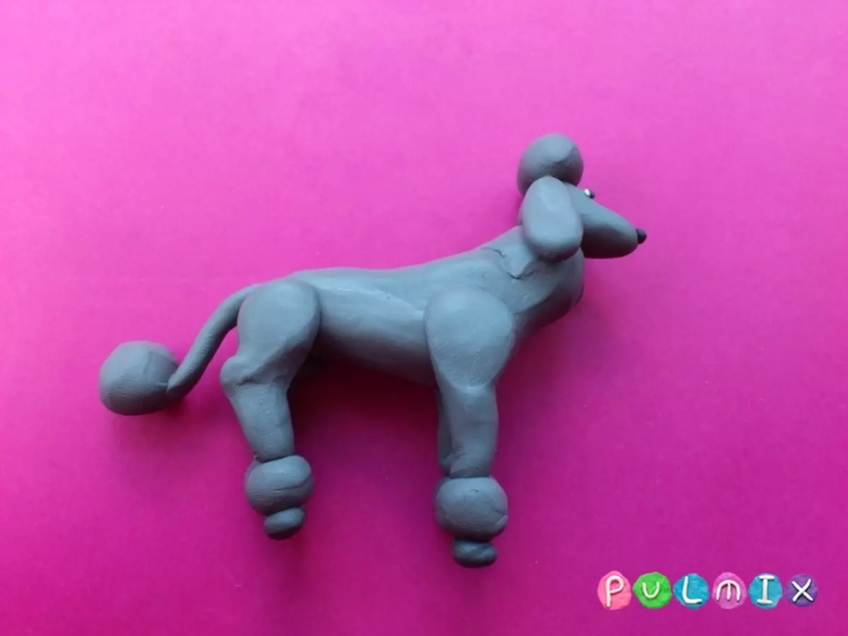 Hoe een hond van plasticine te maken? 88 Foto Hoe een hond te maken voor kinderen van eikels en plasticine? Stap-by-step-husk en andere figuren 27212_59