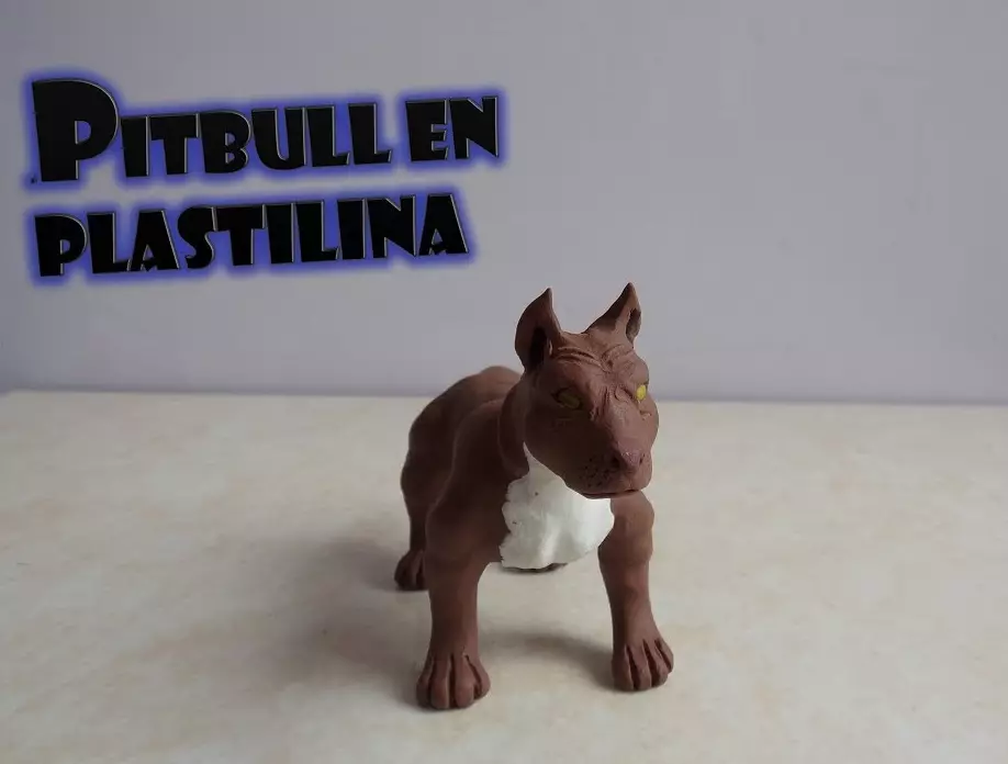 Hvordan laver man en hund fra plastik? 88 Foto Sådan laver du en hund til børn fra Acorns og Plasticine? Trin-for-trin husk og andre figurer 27212_65