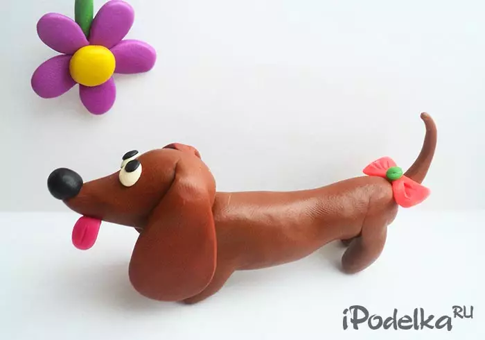 Bagaimana untuk membuat anjing dari plasticine? 88 foto Bagaimana untuk membuat anjing untuk kanak-kanak dari acorns dan plasticine? Sekam langkah demi langkah dan angka lain 27212_80