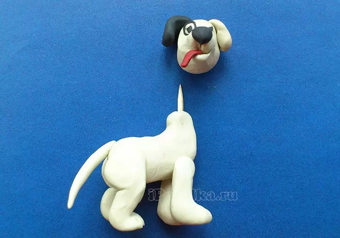 چگونه یک سگ را از Plasticine بسازید؟ 88 عکس چگونه یک سگ برای کودکان از بلوط و پلاستیک؟ پوسته گام به گام و سایر ارقام 27212_9