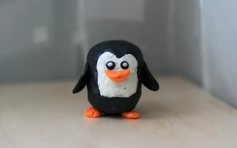 Pinguin aus Knetmasse (45 Fotos): Wie Kinder mit Zapfen machen? Wie machen Sie Schritt für Schritt mit Eicheln? Modellierung auf Karton mit eigenen Händen 27213_2