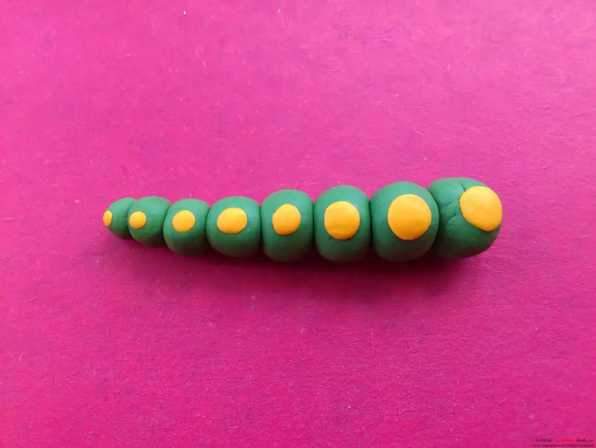 Caterpillar Caterina (51 Foto): Cara nggawe dada? Kepiye cara digawe saka plastik karo acorns? Nyengsemake bocah-bocah 3-4 lan 5-6 taun 27214_13