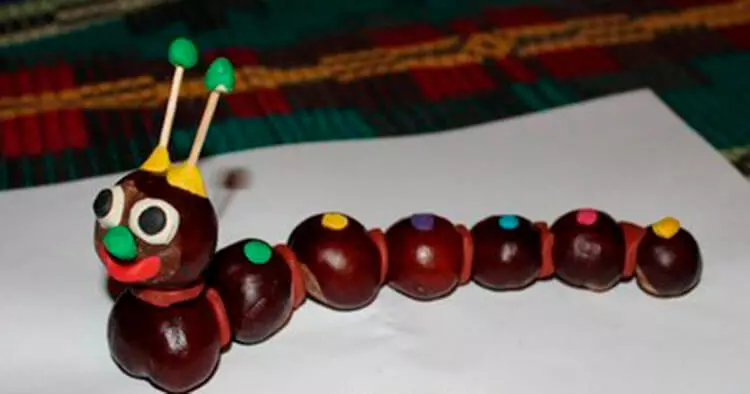 Caterina Caterpillar (51 foto): Si ta bëni atë me gështenja? Si për të bërë nga plastike me acorns? Mbresëlënëse për fëmijët 3-4 dhe 5-6 vjet 27214_26