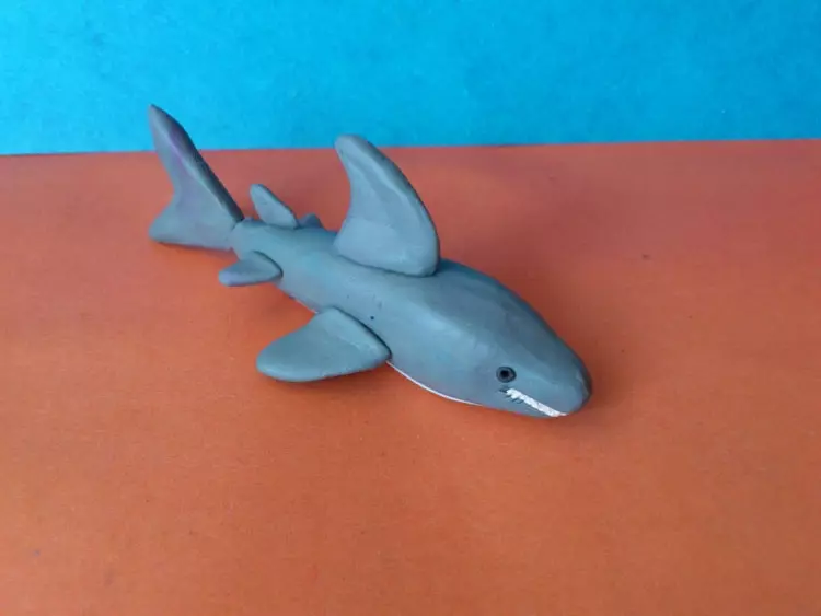 Vissen van plasticine: vismodellering op karton voor kinderen. Hoe maak je een gouden vis in stadia met je eigen handen? Lepim het viszwaard en een clownvis stap voor stap 27217_12