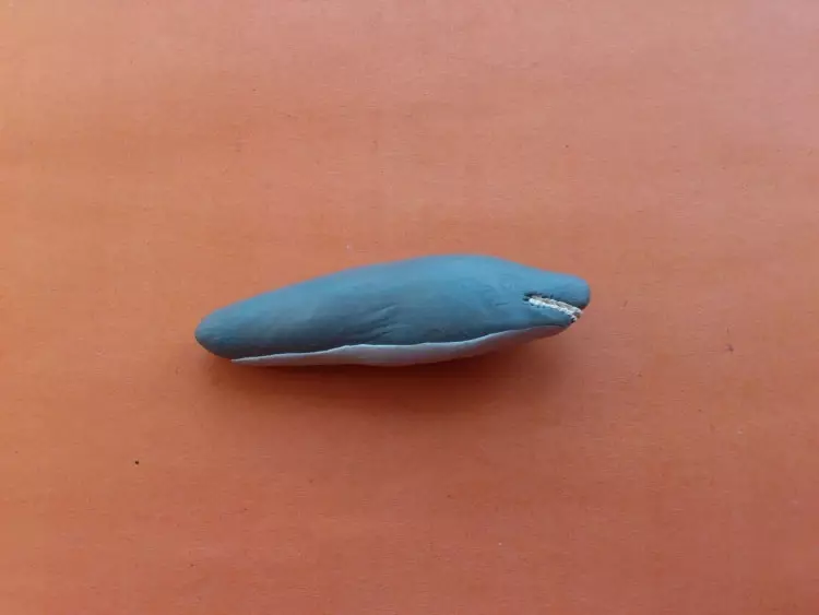 Peixe de plasticina: Modelagem de peixes em papelão para crianças. Como fazer um peixe dourado em etapas com suas próprias mãos? Lepim a espada de peixe e um peixe palhaço passo a passo 27217_17