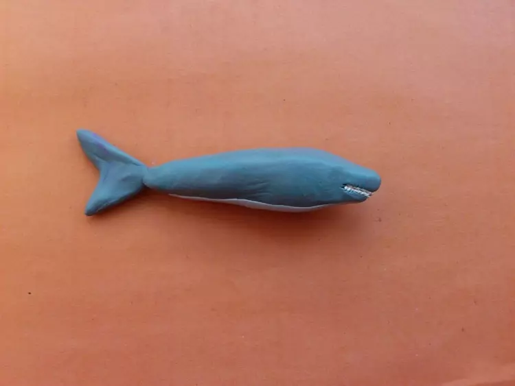 Pesce dalla plastilina: modellazione di pesce sul cartone per bambini. Come fare un pesce d'oro in fasi con le tue mani? Lepim la spada di pesce e un pesce clown passo dopo passo 27217_18