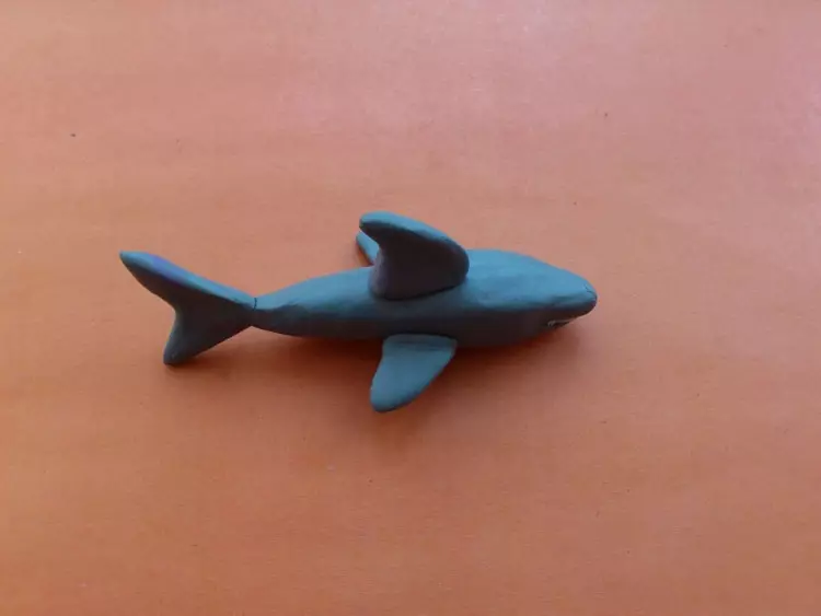 來自橡皮泥的魚：兒童紙板上的魚造型。如何用自己的手用階段製作金魚？小偷魚劍和小丑魚一步一步 27217_19