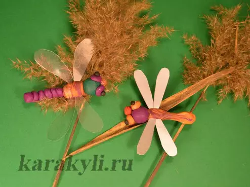 Dragonfly од Пластилин: Како да се направи деца со природни материјали? Импресионирајте на картон чекор по чекор. Како да се направи волуметриски вилица? 27219_21