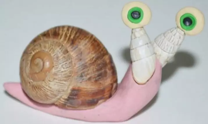 Snail của plasticine (50 ảnh): Làm thế nào để làm với trẻ em hạt dẻ? Làm thế nào để làm cho nó với những chiếc lá từng bước? Ủi bằng vỏ và một cục. Làm thế nào để Sculpt ốc trên các tông? 27221_28