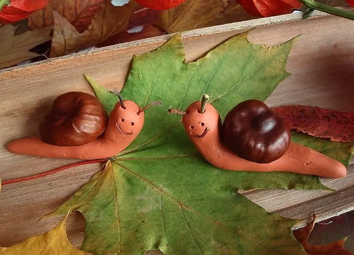 Snail of plasticine (50 photos): how to do with chestnut children? How to make it with the leaves step by step? Ironing with a shell and a lump. How to sculpt snail on cardboard? 27221_4