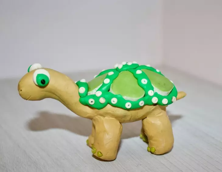 Plasticine Turtle (57 kuvaa): Kuinka tehdä kilpikonna lapsille muovia ja pähkinäkuorta? Maspale kanssa kuoppia. Kuinka tehdä sen muovailusta pahvista? 27224_3