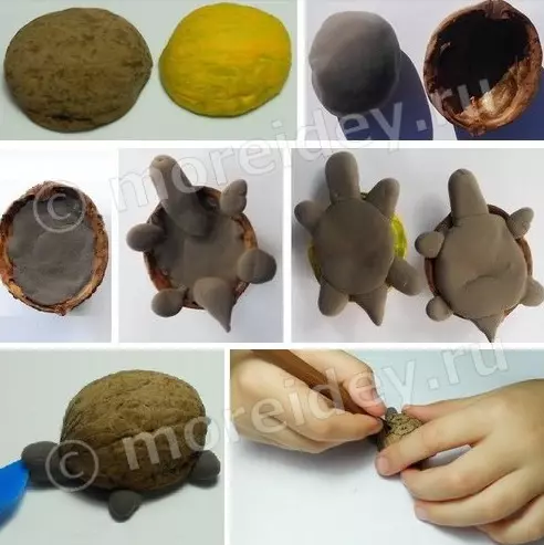 Turtle Turtle (57 fotografií): Ako si vyrobiť korytnačku pre deti z plastelínu a orechovného škrupiny? Maspeake s hrbnými hrbolmi. Ako to urobiť z plastelínu na lepej? 27224_32