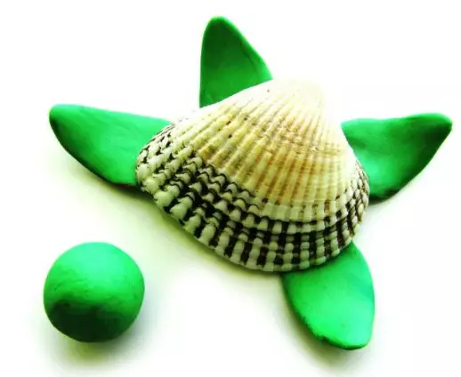 Plasticin Turtle (57 Fotos): Wie erstellt man eine Schildkröte für Kinder aus Plasticin und Walnusshülle? Maspeake mit Unebenheiten. Wie schaffen Sie es aus Plasticin auf Pappe? 27224_44