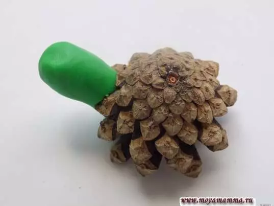 PLANINE TURTLE (57 fotografija): Kako napraviti kornjaču za djecu iz plastelina i ljuske oraha? Maseake s izbočinama. Kako to učiniti od plastelina na kartonu? 27224_52