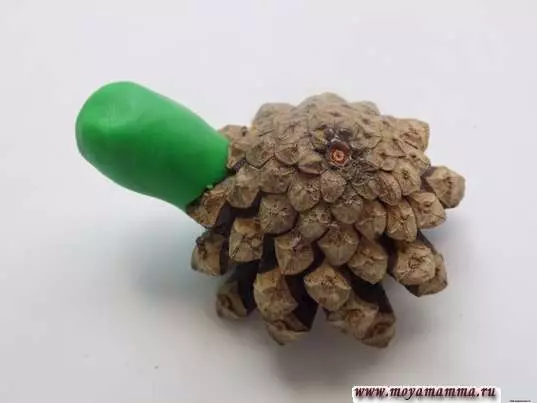 PLASTICE TURTLE (57 myndir): Hvernig á að gera skjaldbaka fyrir börn úr plasti og Walnut Shell? Maspeake með höggum. Hvernig á að gera það úr plasti á pappa? 27224_52