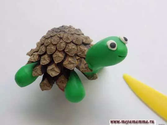 Turtle Turtle (57 fotografií): Ako si vyrobiť korytnačku pre deti z plastelínu a orechovného škrupiny? Maspeake s hrbnými hrbolmi. Ako to urobiť z plastelínu na lepej? 27224_53
