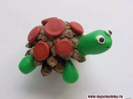 Turtle Turtle (57 fotografií): Ako si vyrobiť korytnačku pre deti z plastelínu a orechovného škrupiny? Maspeake s hrbnými hrbolmi. Ako to urobiť z plastelínu na lepej? 27224_55