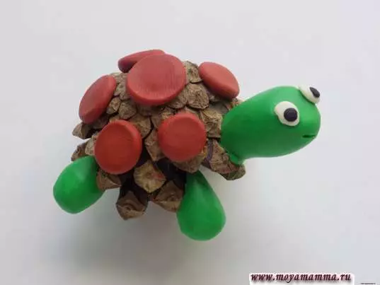 Plasticine Turtle (57 fotot): Kuidas teha kilpkonn lastele plastilisest ja pähkli koorest? Maspeake koos muhkega. Kuidas muuta see plastilisest papist? 27224_55