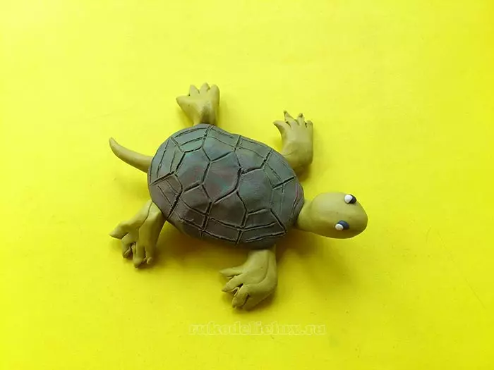 Plastilina Testudo (57 fotoj): Kiel fari testudon por infanoj de plastilina kaj juglanda ŝelo? Maspeda kun batoj. Kiel fari ĝin de plastiline en kartono? 27224_56