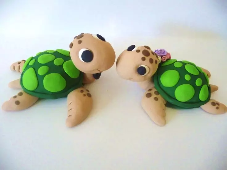 Plasticine Turtle (57 bilder): Hur man gör en sköldpadda för barn från plasticine och valnötskal? Maspa med stötar. Hur man gör det från plasticine på kartong? 27224_57