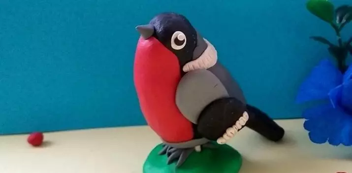 Bulbie a műanyagból: Hogyan készítsünk egy gyönyörű madarat a gyerekeknek? A madarak saját kezével 3-4 év alatt és 5-6 év alatt helyezkednek el. Hogyan készítsünk egy téli madárat Statenly-t? 27225_14