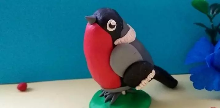 Bulbie de Pletiendante: Comment faire un beau oiseau aux enfants? Mettre les oiseaux de leurs propres mains en 3-4 ans et 5-6 ans. Comment faire un oiseau d'hiver statistuly? 27225_14