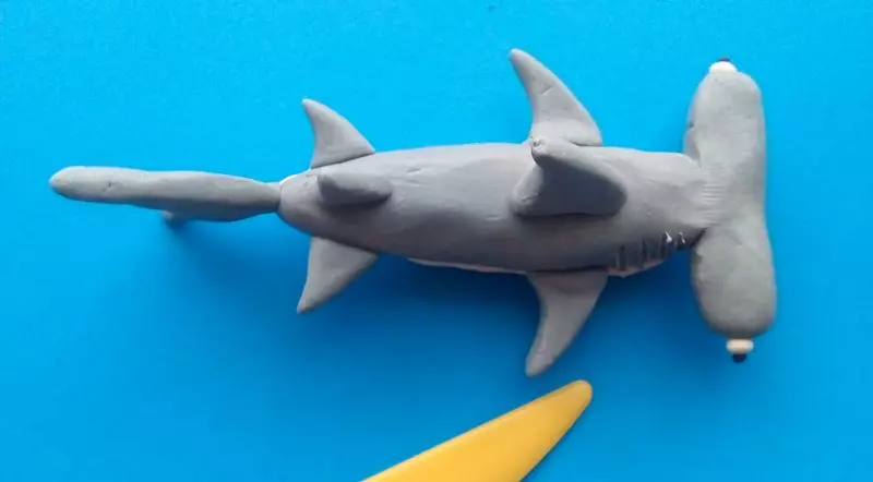 प्लास्टस्टिनालीबाट शार्क (1 polics फोटोहरू): कसरी एक कदम-द्वारा-चरण हथौड़ा शार्क बनाउने? चरणहरूमा टाइगर शार्क कसरी गर्ने? कसरी सेतो शार्क ढाक? 27226_10
