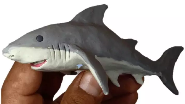 Peshkaqen nga plastike (18 foto): Si për të bërë një peshkaqen hap pas hapi çekan? Si për të bërë një peshkaqen Tiger në faza? Si të gdhend një peshkaqen të bardhë? 27226_18