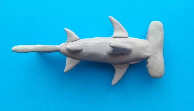 प्लास्टस्टिनालीबाट शार्क (1 polics फोटोहरू): कसरी एक कदम-द्वारा-चरण हथौड़ा शार्क बनाउने? चरणहरूमा टाइगर शार्क कसरी गर्ने? कसरी सेतो शार्क ढाक? 27226_9