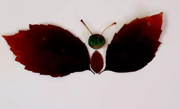 Plasticine Butterfly (31 Foto): Cara Membuatnya Dengan Daun Anak Langkah demi Langkah? Bagaimana cara membuat tahapan kupu-kupu cantik dengan SID? Mengesankan untuk anak-anak 3-4 dan 5-6 tahun 27227_26